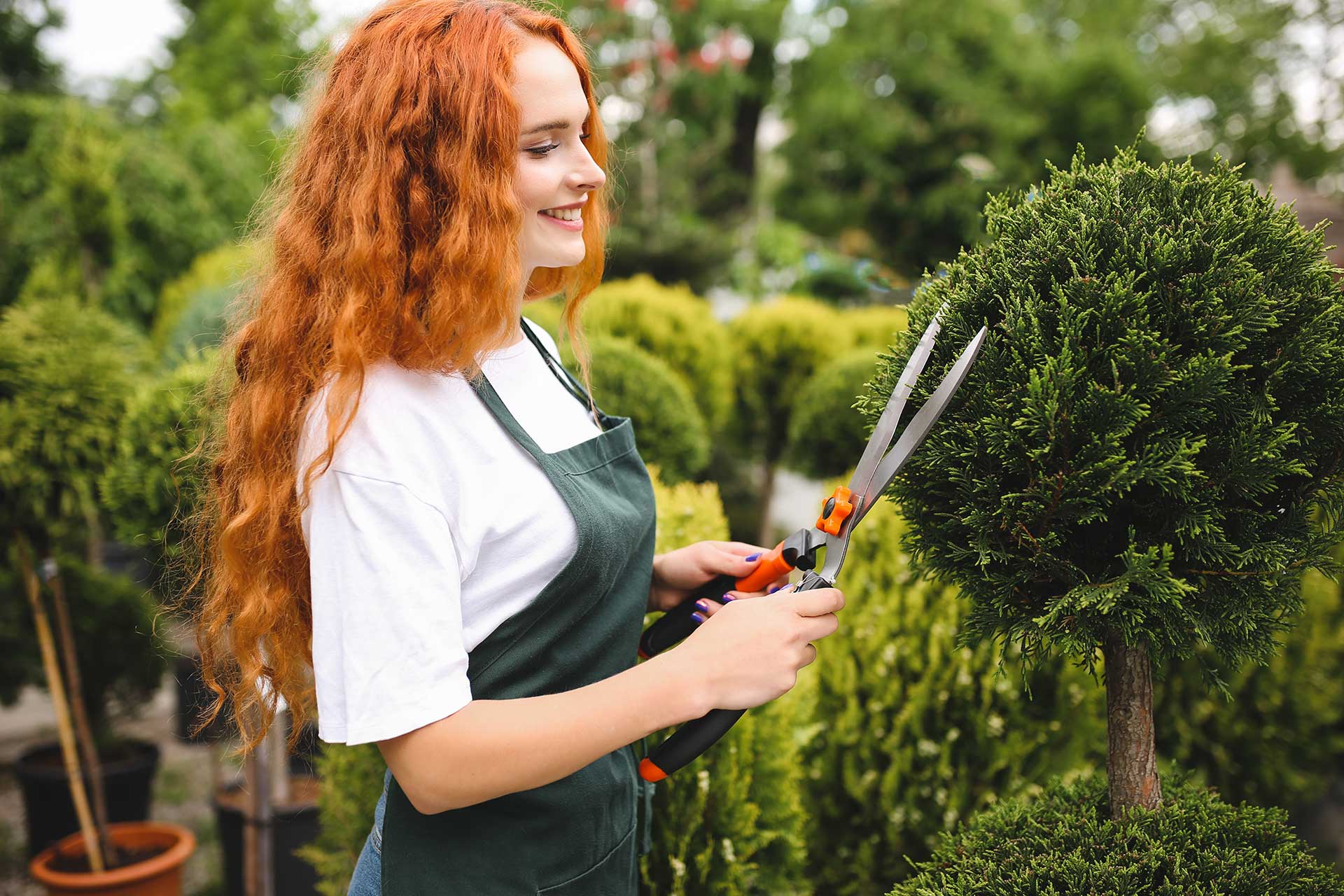 Tree pruning